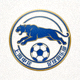 上海申花足球俱乐部蓝色豹子队徽